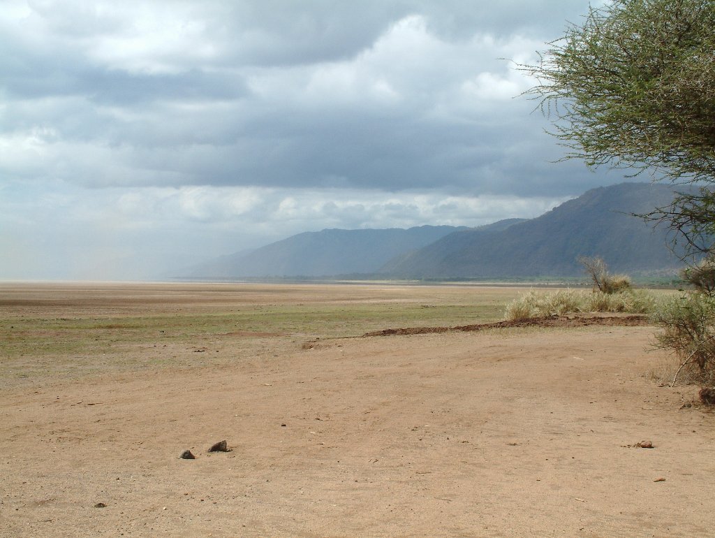 08-Lake Manyara.jpg - Lake Manyara